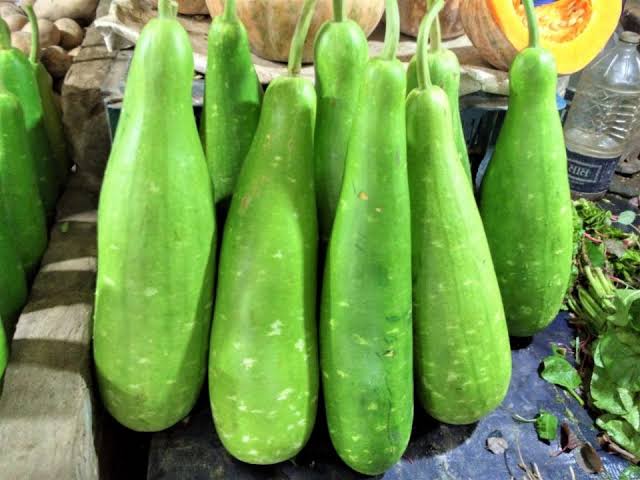লাউ (কদু)